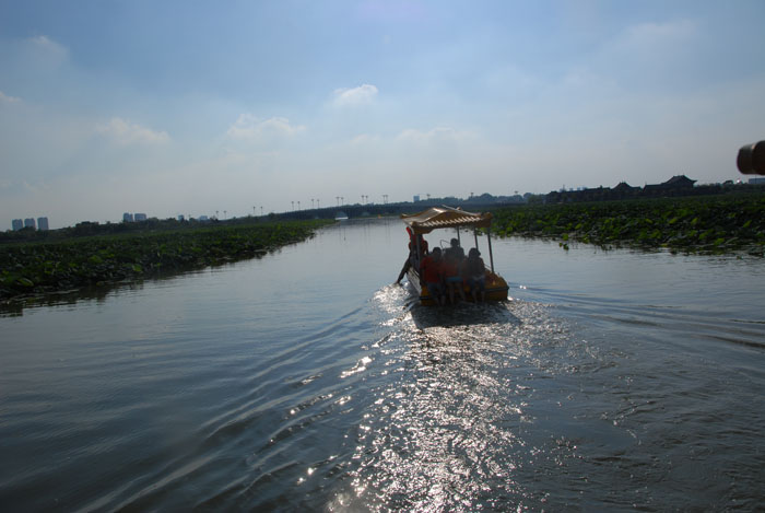 Ϧ�������ӭ�������ϰ�